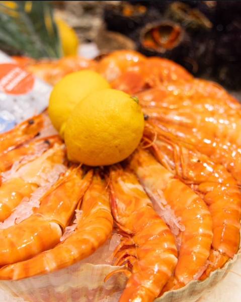 crevettes fraîches restaurant halles Hyères Criée Raynier crustacés savoureux aux halles victoria à Hyères 